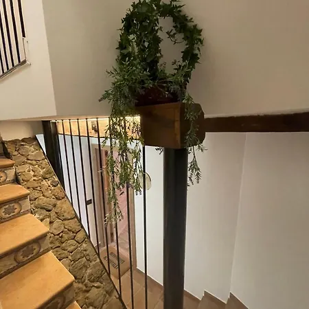 El Portalet De Rialla